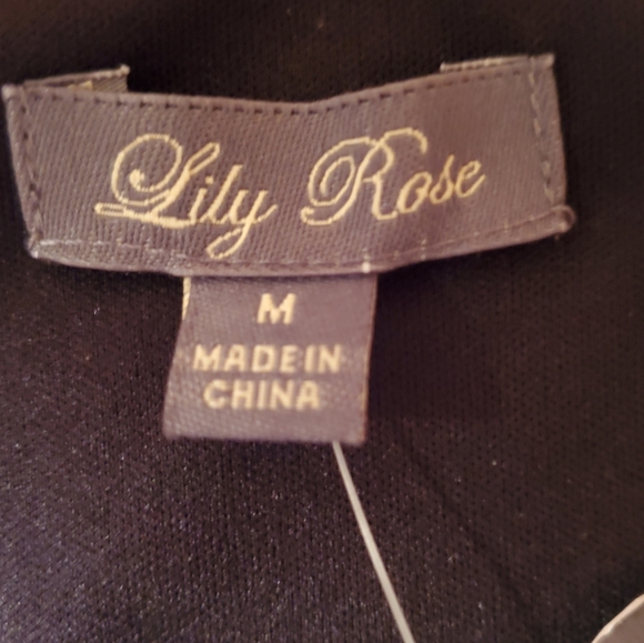 Lily Rose Chevron Dress. NWT - Picture 2 of 7